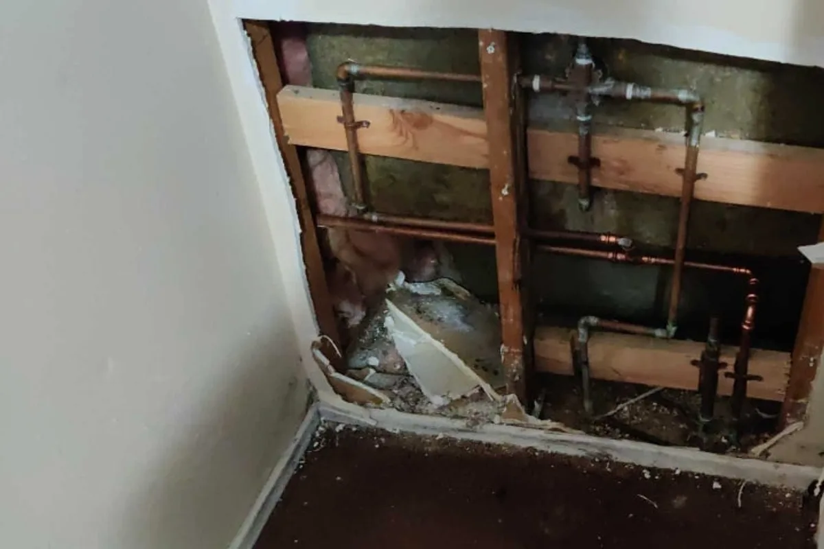 Opened wall showing repipe access during Lake Elsinore water leak detection documentation