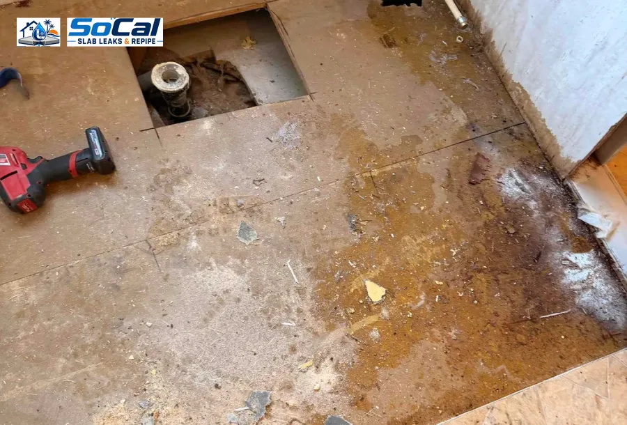 Toilet Leak Repair photo for Banning homeowners showing small plumbing repair documentation