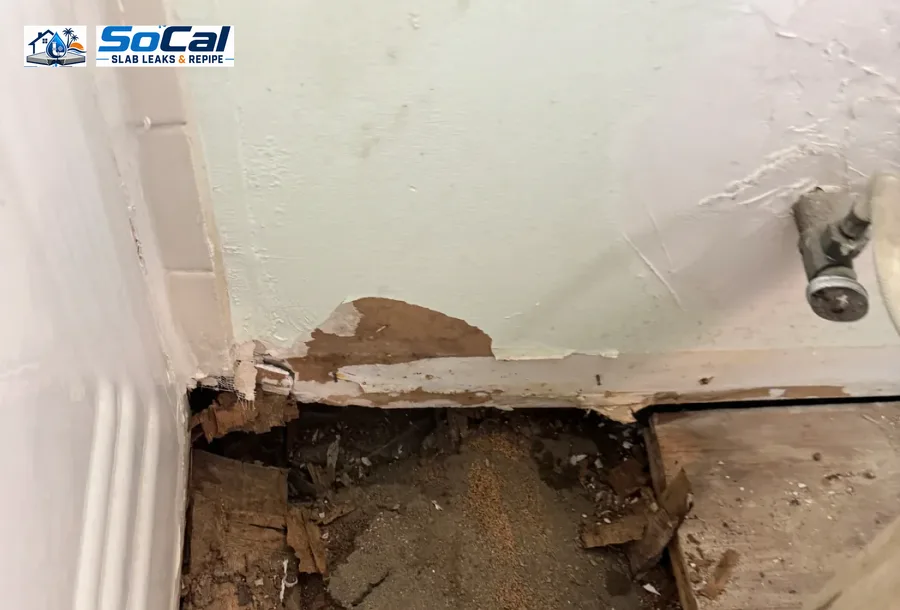 Toilet Leak Repair photo for Riverside homeowners showing small plumbing repair documentation