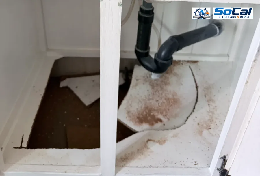 Under sink drain and P-trap connection for leak repair documentation
